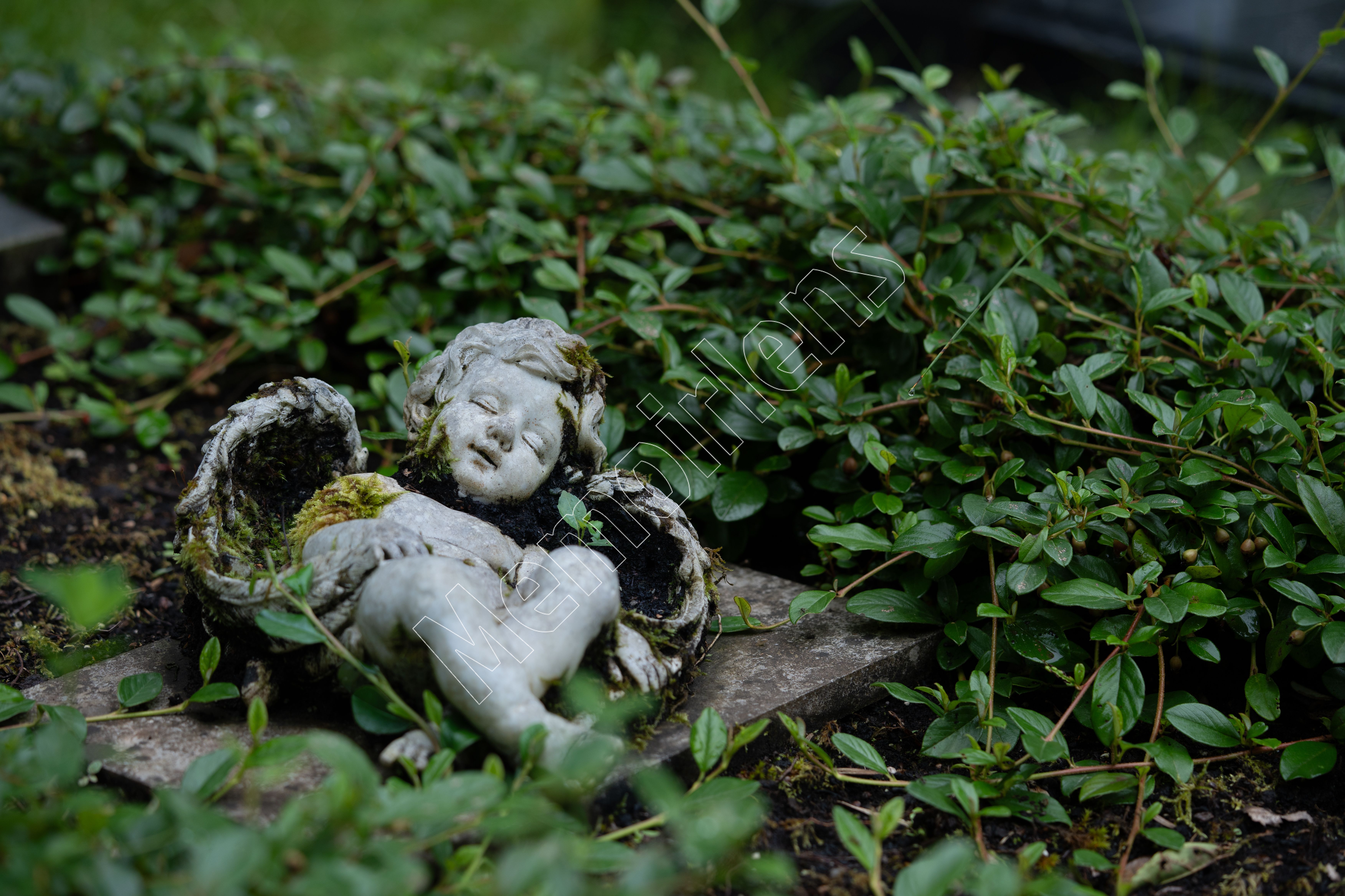 Angel statues