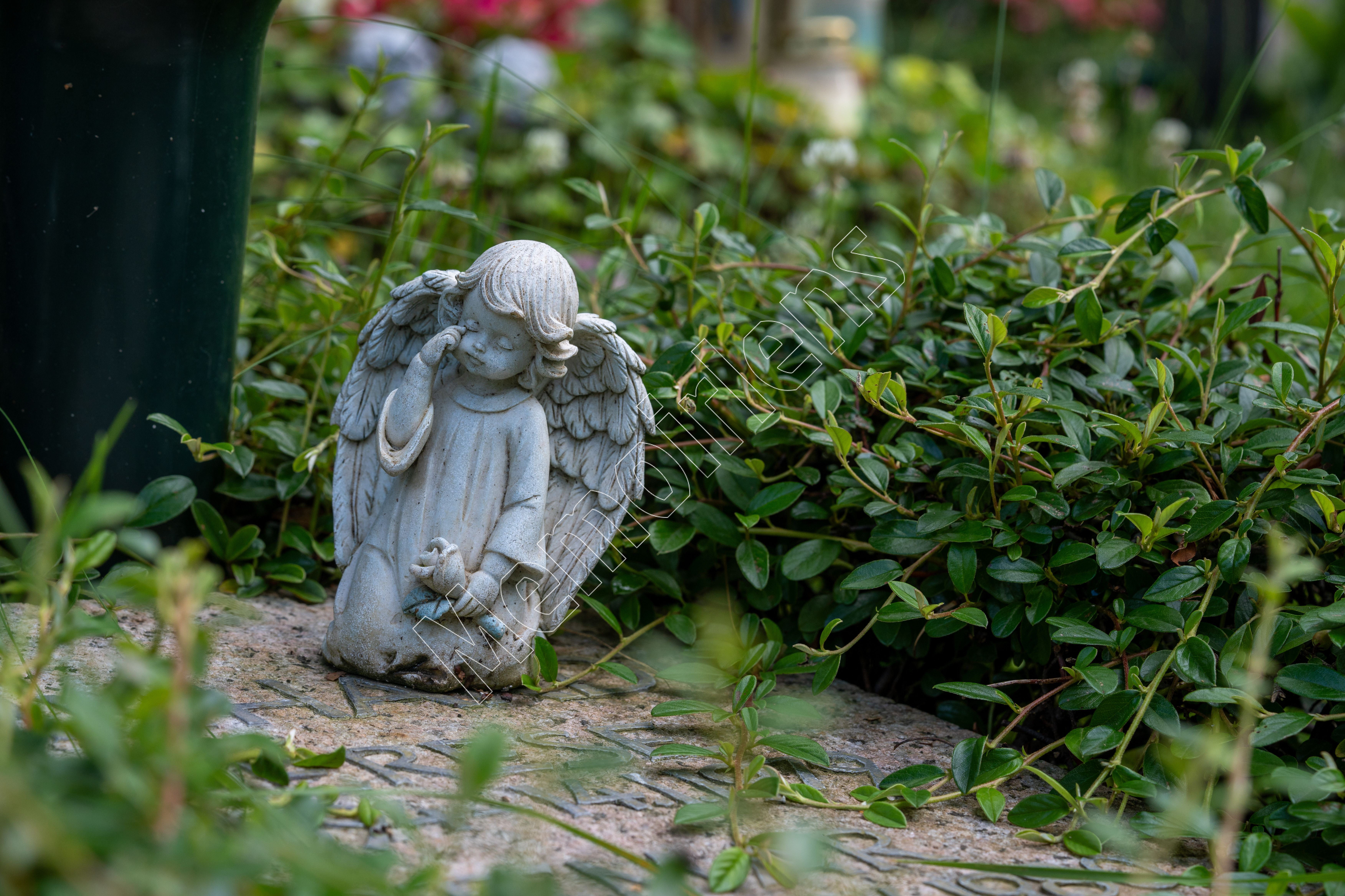Angel statue