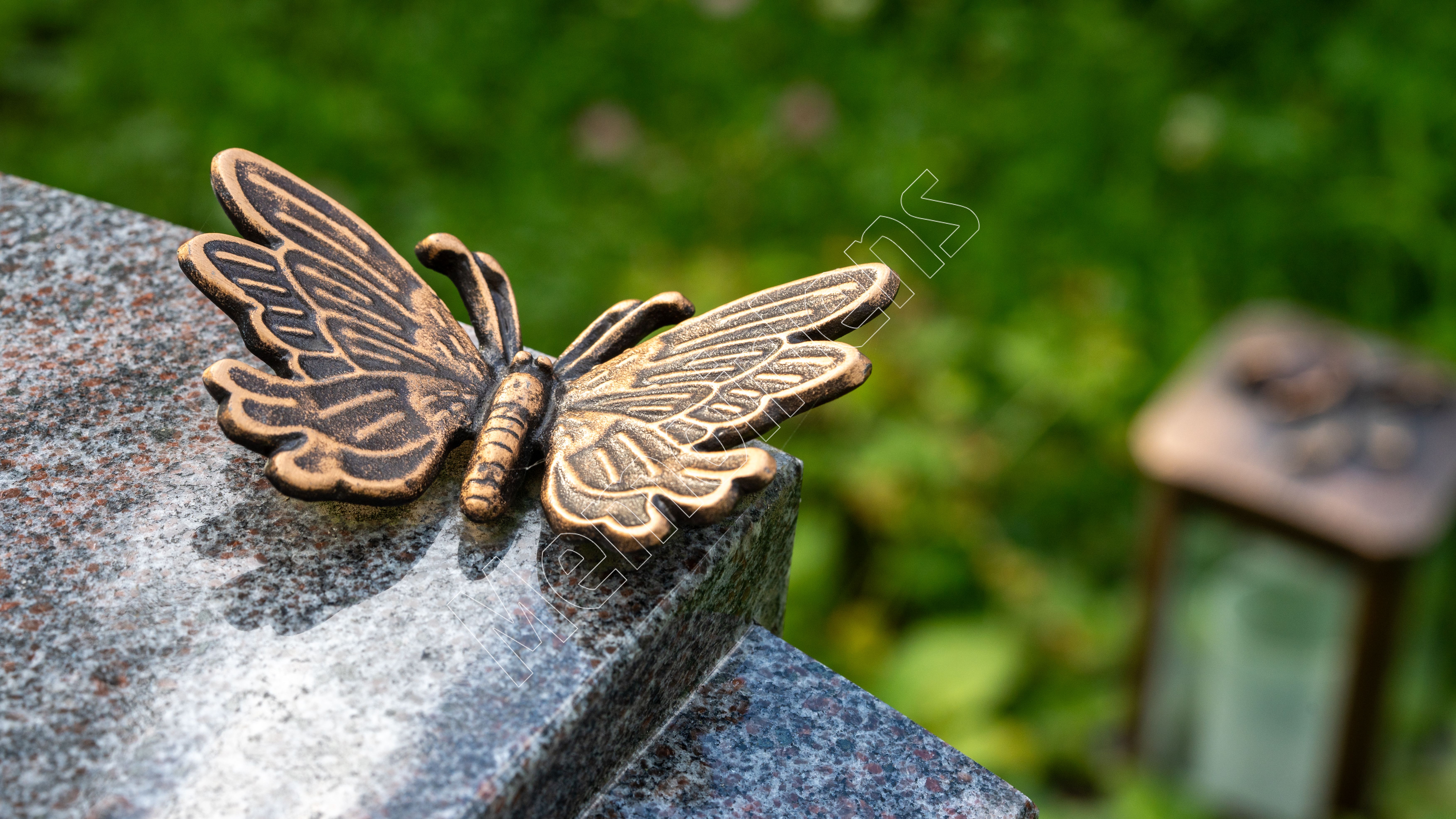 Bronze butterfly