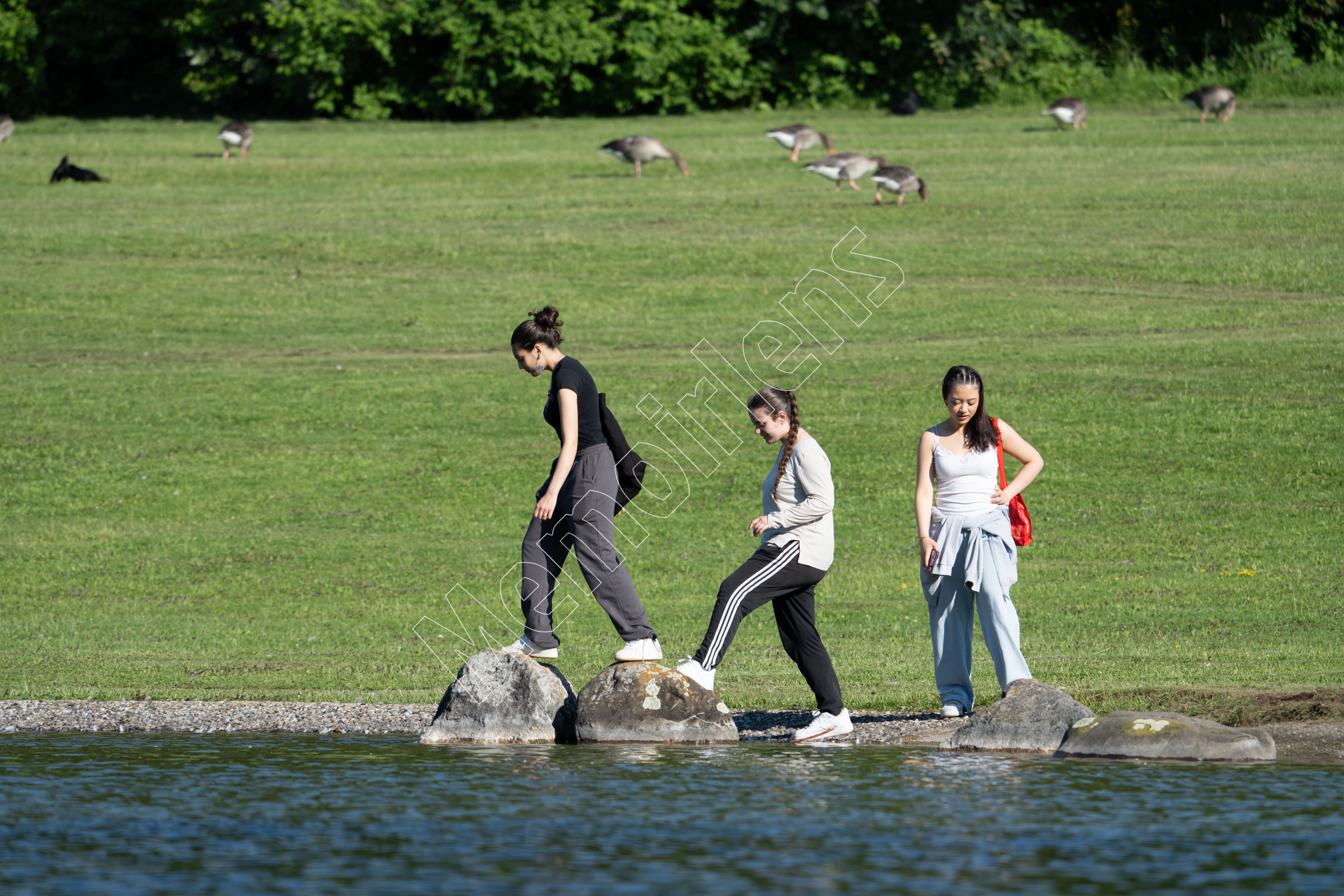 Ostpark July 2024 - Ducks and ladies