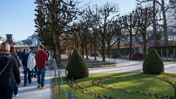 Pruned trees