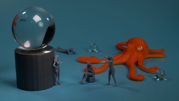 Orange octopus