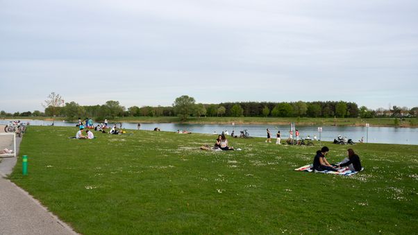 Riemer Park April 2024