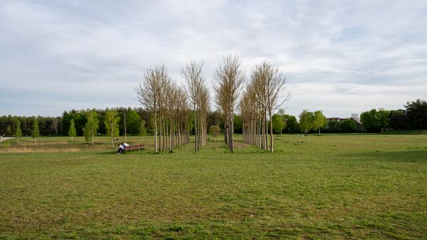 Riemer Park April 2024