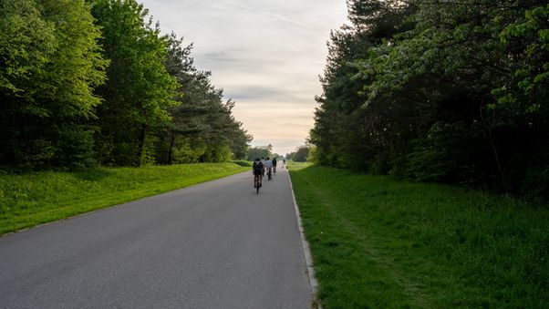Riemer Park April 2024