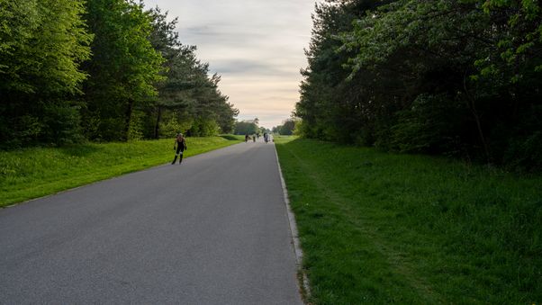 Riemer Park April 2024