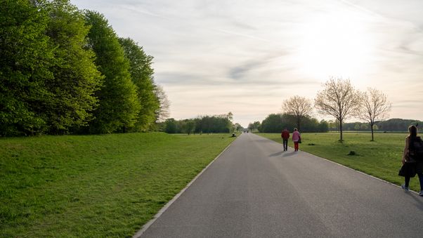 Riemer Park April 2024