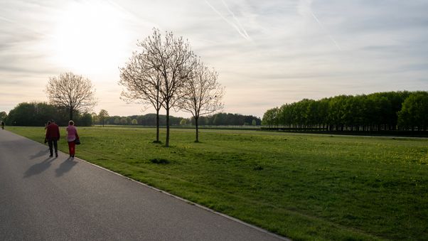 Riemer Park April 2024