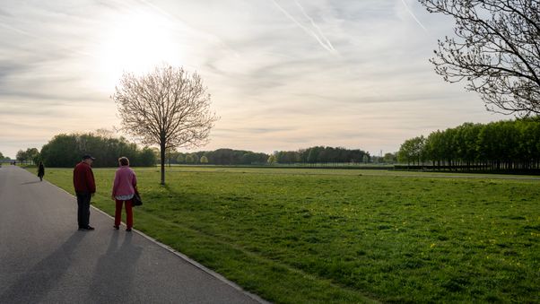 Riemer Park April 2024