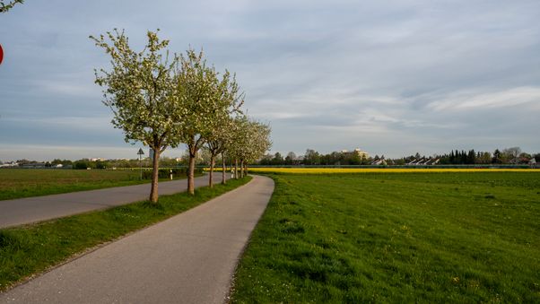 Riemer Park April 2024