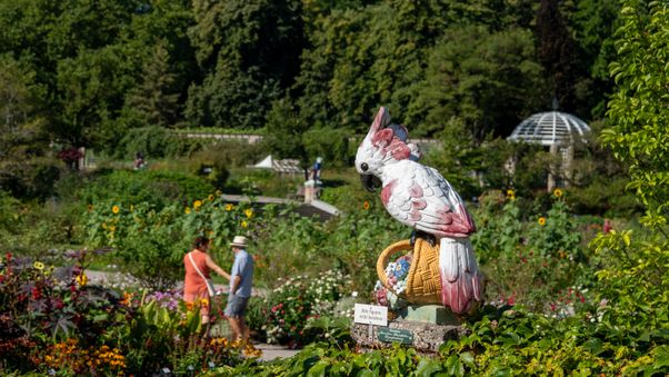 The Botanical Garden in Munich