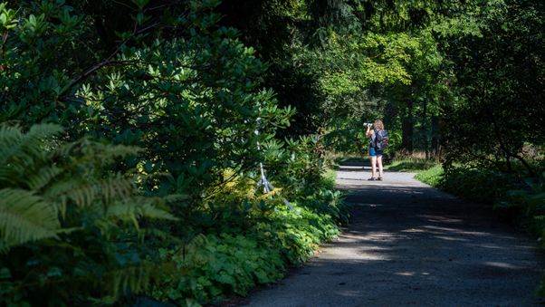 The Botanical Garden in Munich