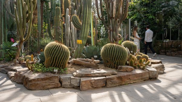 The plants in Munich's botanical garden