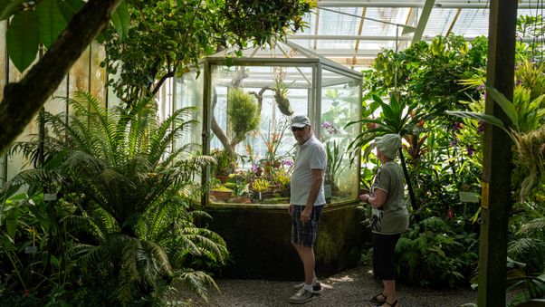The plants in Munich's botanical garden