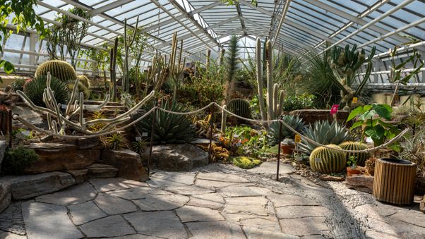 The plants in Munich's botanical garden