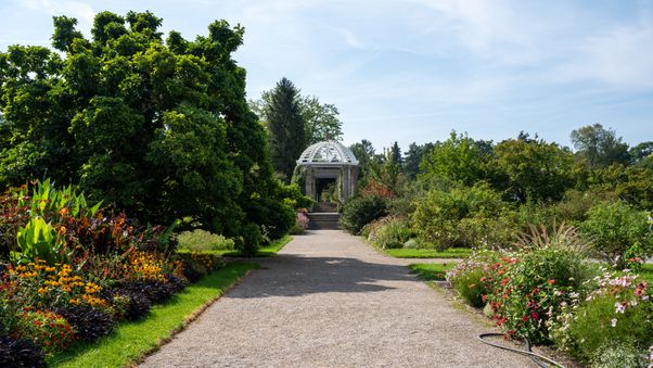 The plants in Munich's botanical garden