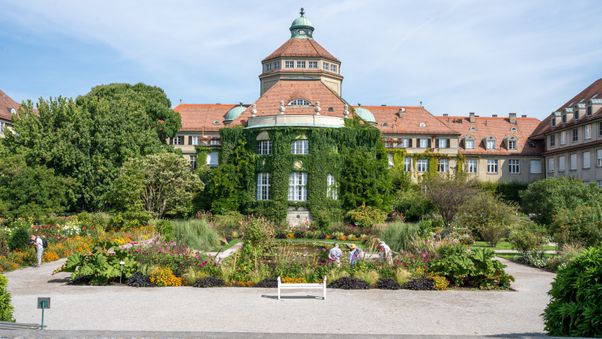 The plants in Munich's botanical garden
