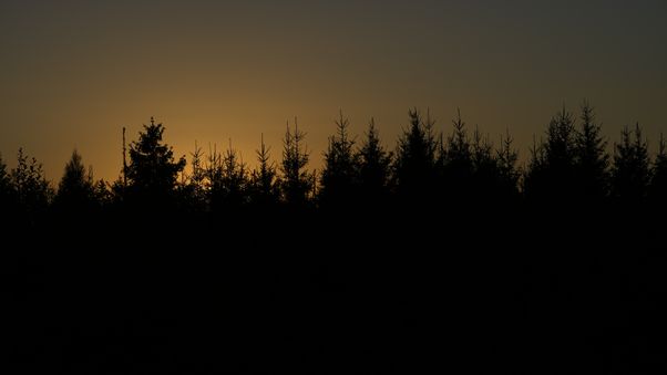 Late afternoon
