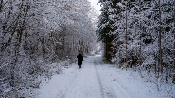 Solitary walk in snowy path