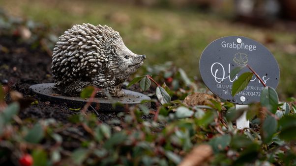 Stone hedgehog in garden bed