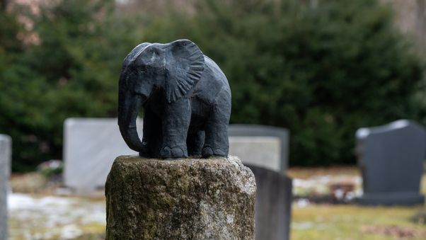 Elephant Guardian of Stone