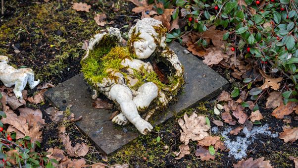 Moss-Covered Sleeping Angel