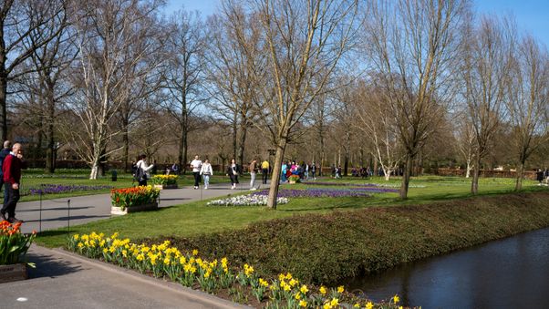 Keukenhof