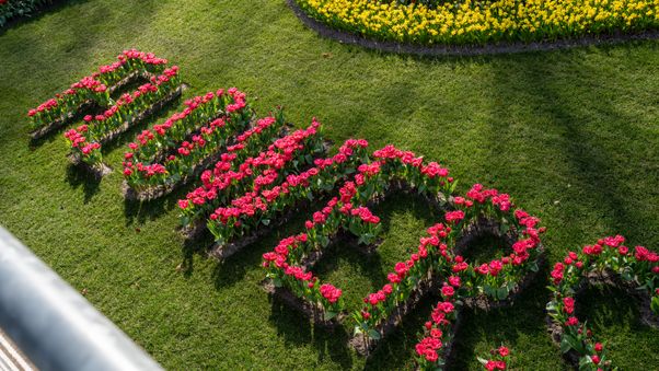 Keukenhof