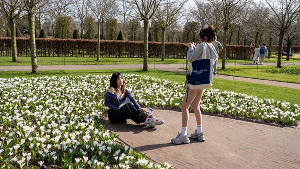 Keukenhof