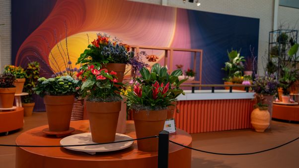 Keukenhof