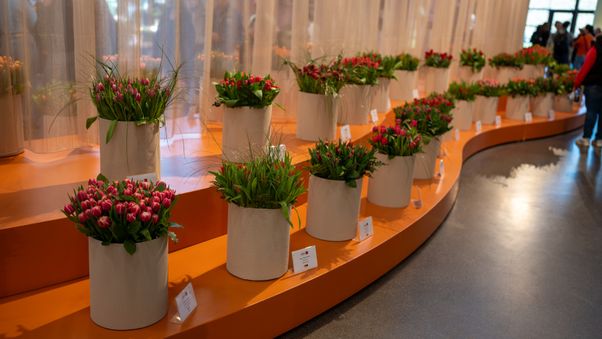 Keukenhof