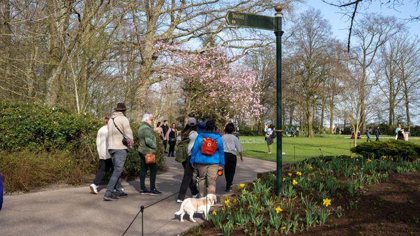 Keukenhof