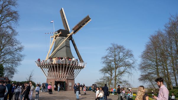 Keukenhof