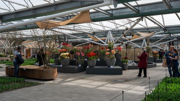 Keukenhof