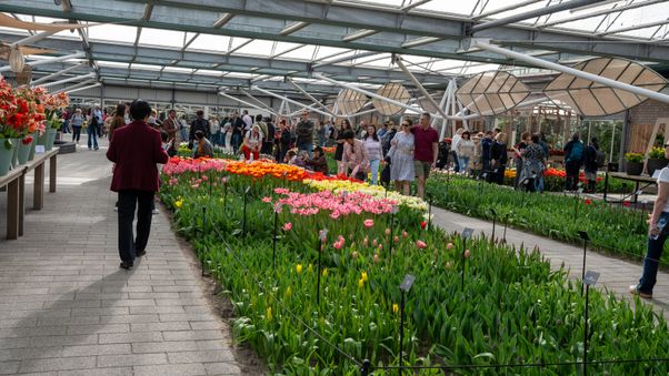 Keukenhof